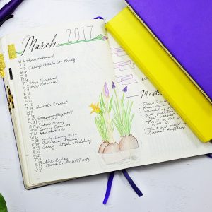 Pad and Quill Notebooks: New Dot Grid Notebook Review!