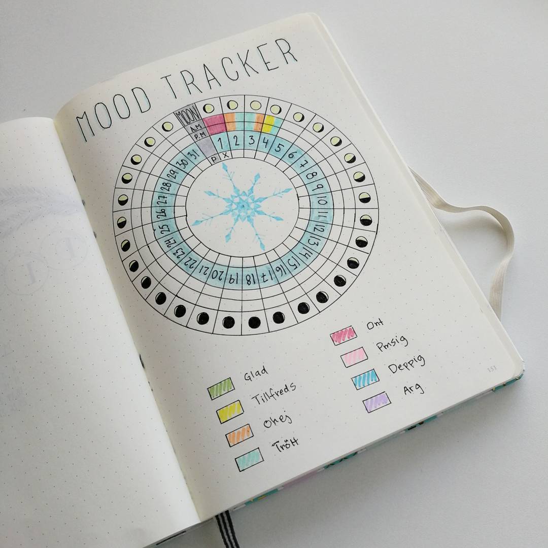 8 Ways to Use a Bullet Journal Tracker - Sheena of the Journal