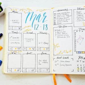 8 Ways to Use a Bullet Journal Tracker ⋆ Sheena of the Journal