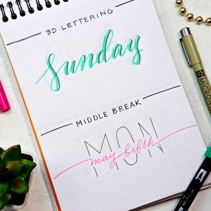 March Bullet Journal Setup ⋆ Sheena of the Journal